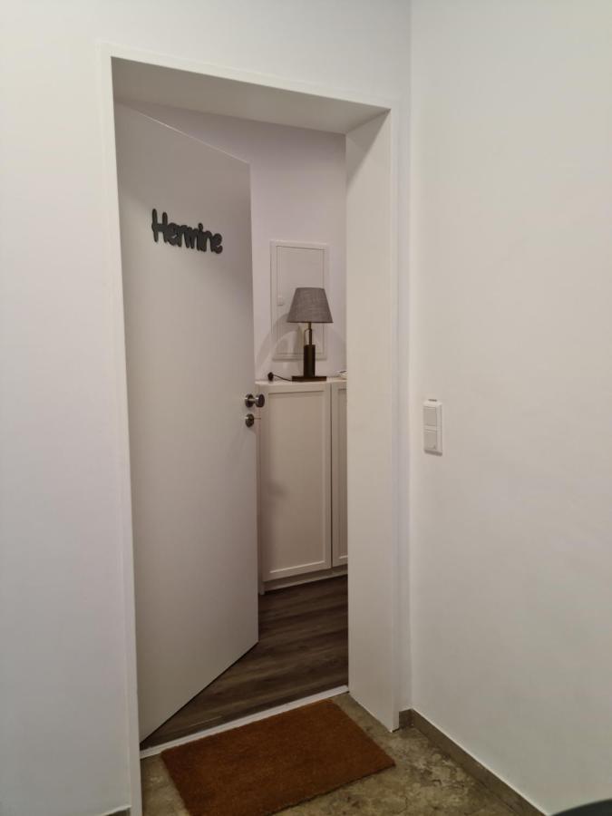 Pilgrims "Hermine" Fewo Mit 3 Schlafzimmern, Balkon, Fast Internet Brilon Exterior foto